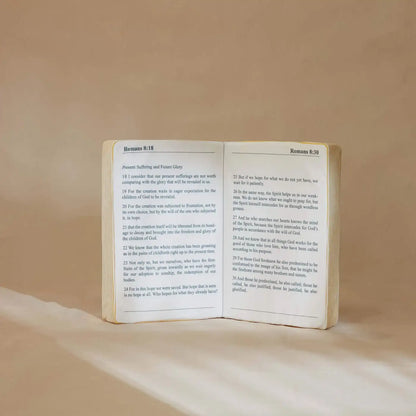 "Hope & Glory" Bible Pillow