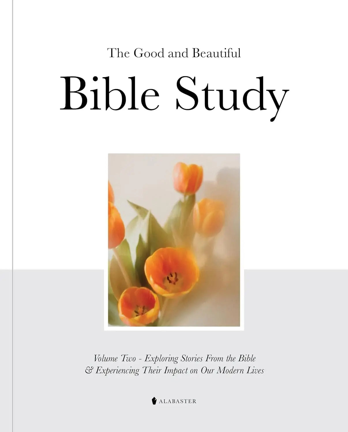 "The Good and Beautiful Bible Study"
