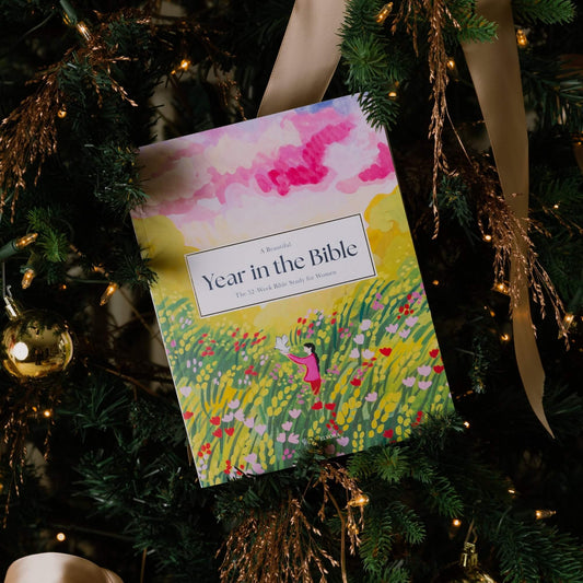 A Beautiful Year In The Bible Study